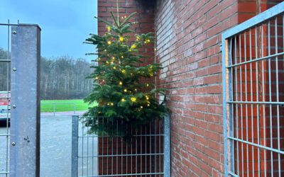 Weihnachtsbaum am Vereinsheim